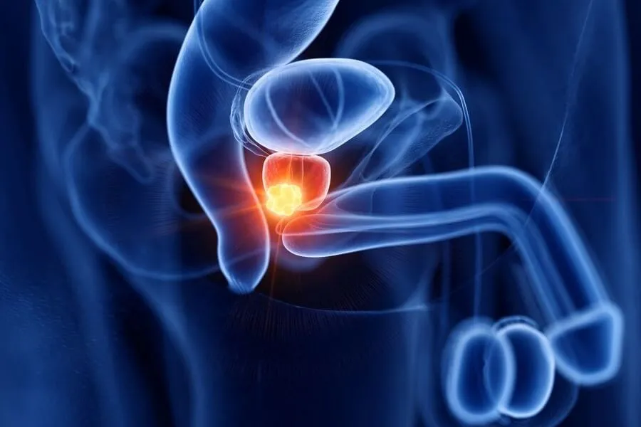 does prostate massage help premature ejaculation